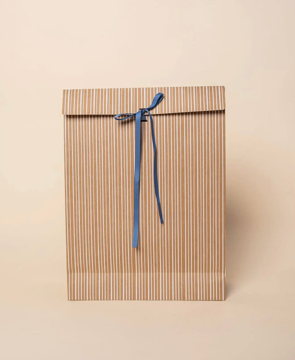 Stripe Kraft Bags w/ Ribbon (Set Of Six)