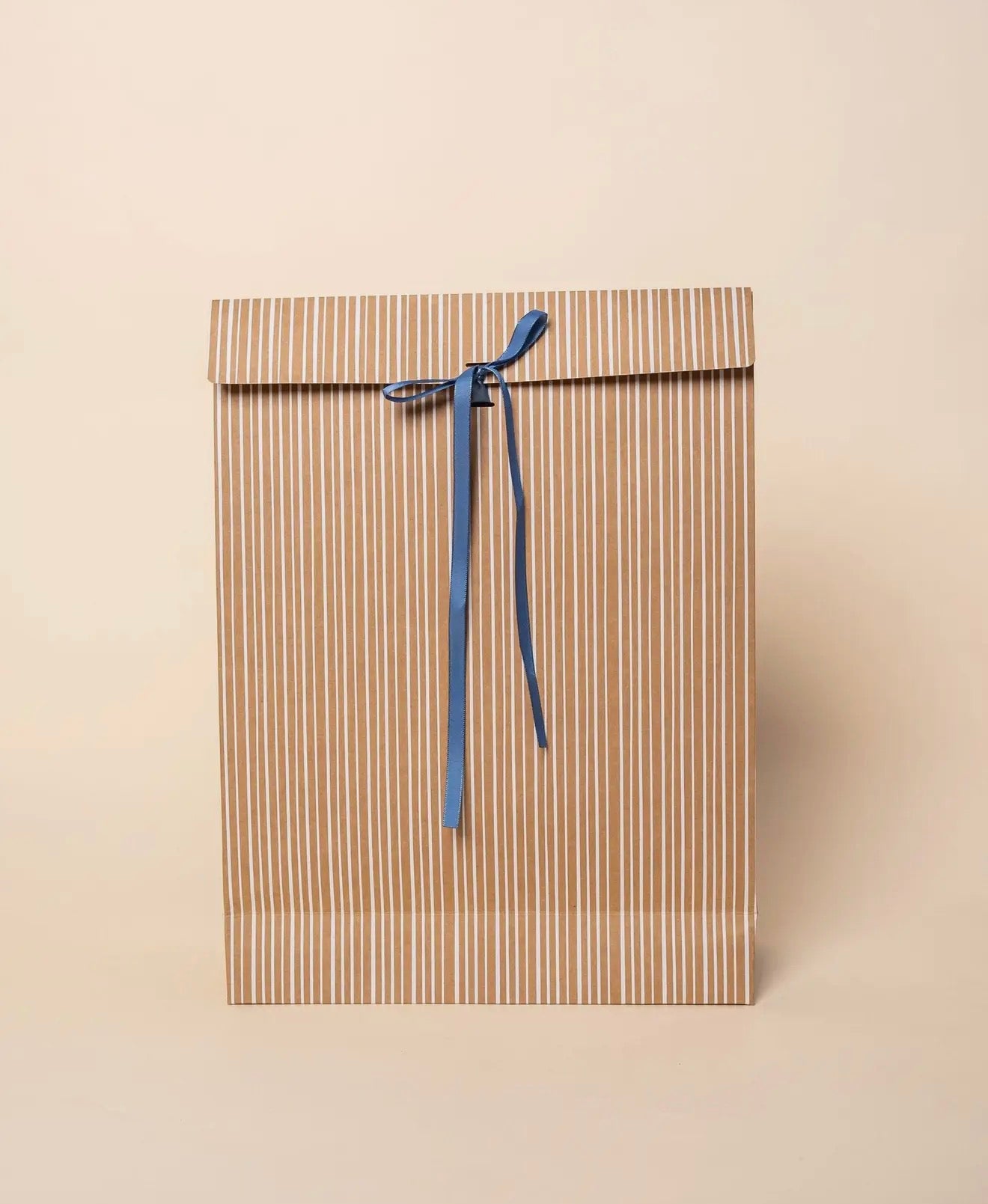 Stripe Kraft Bags w/ Ribbon (Set Of Six)